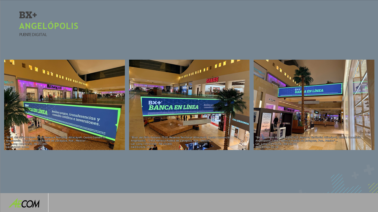 Captura de pantalla 2026-03-23 184618